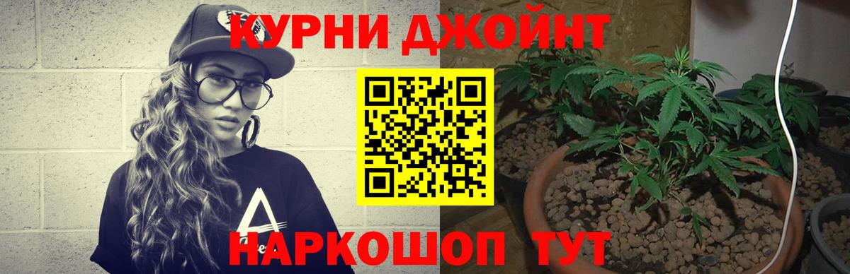 Конопля VHQ  Бошки марихуана тримм  Полевской  Бошки марихуана конопля  Вход с VPN  Канабис Bruce Banner 